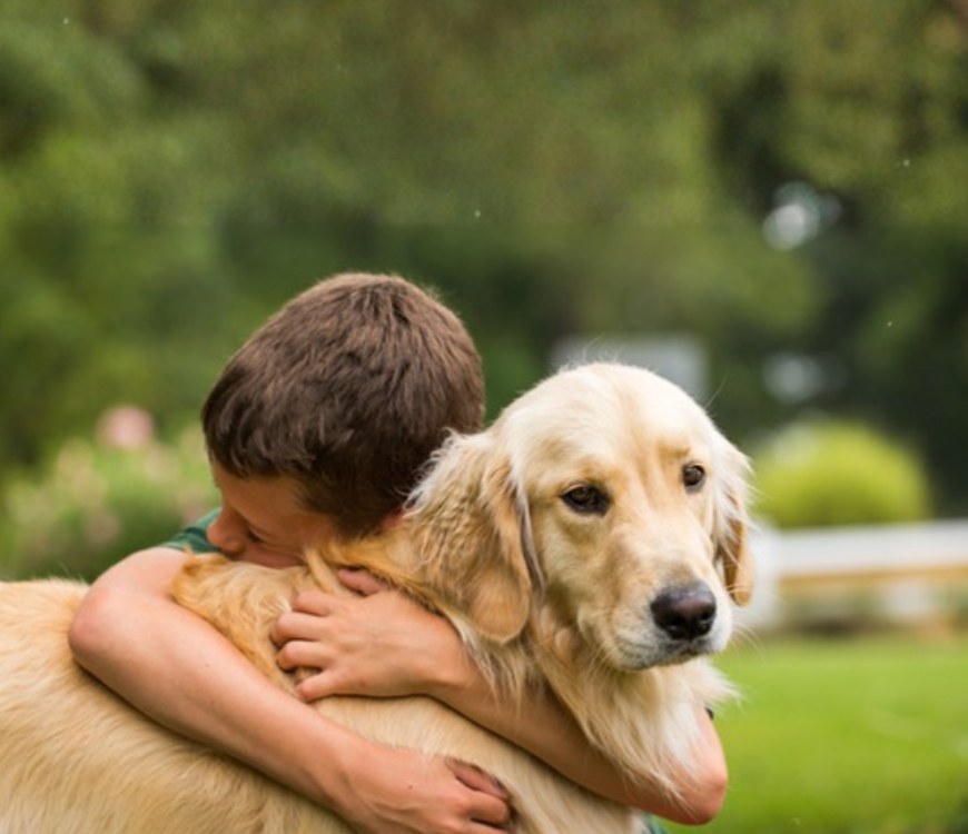 Despedida con amor a una mascota