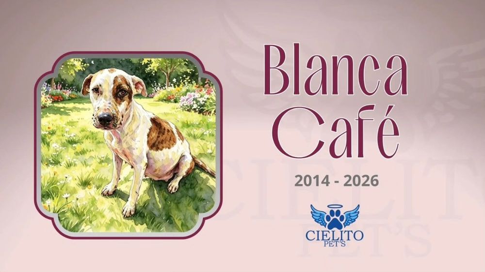 Obituario Blanca Café
