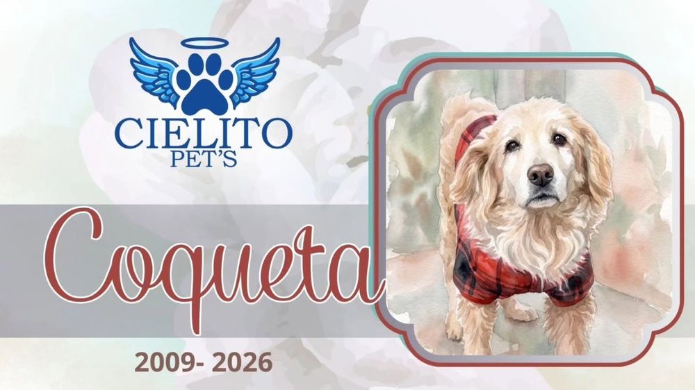 Obituario Coqueta