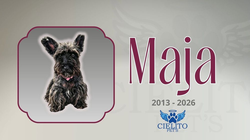 Obituario Maja
