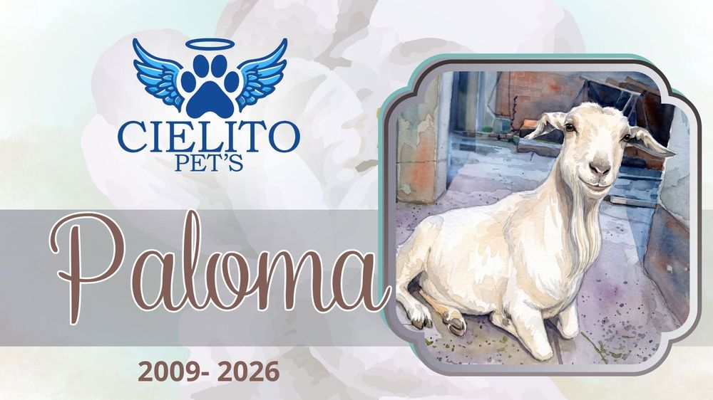 Obituario Paloma