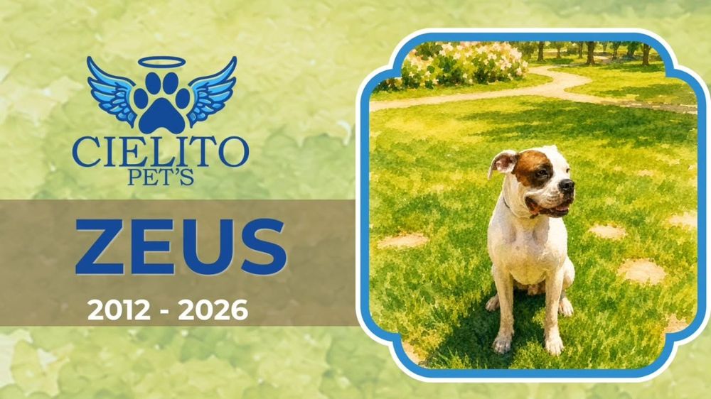 Obituario Zeus
