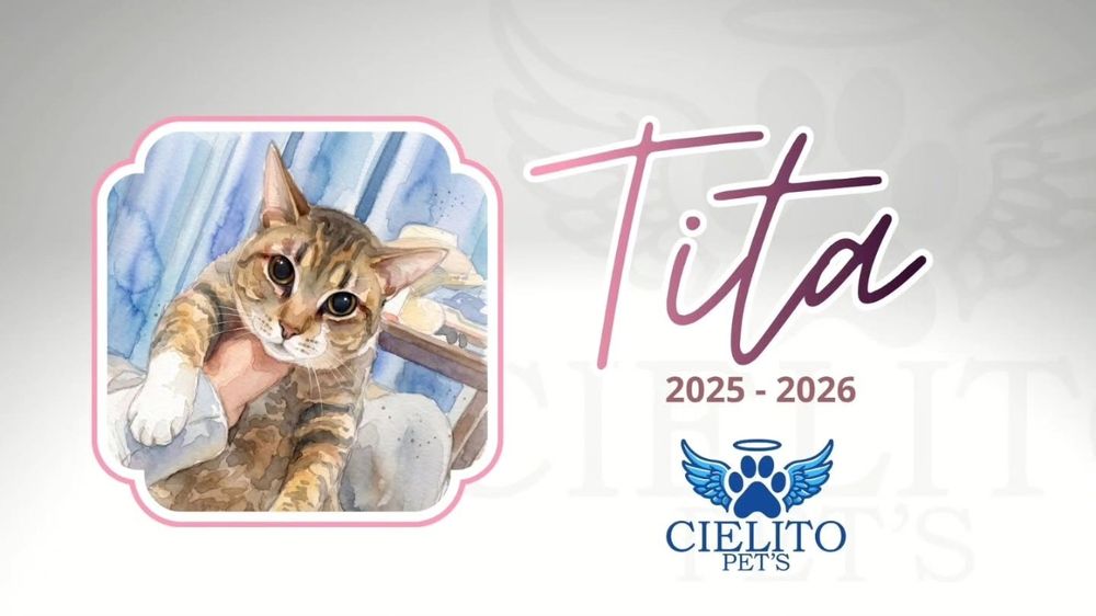 Obituario Tita