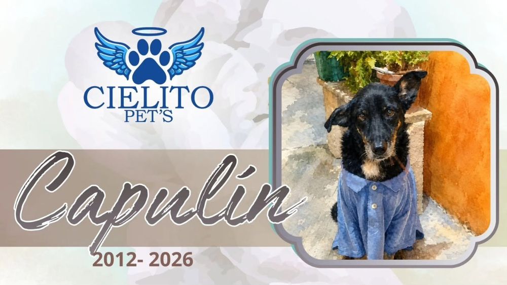 Obituario Capulín