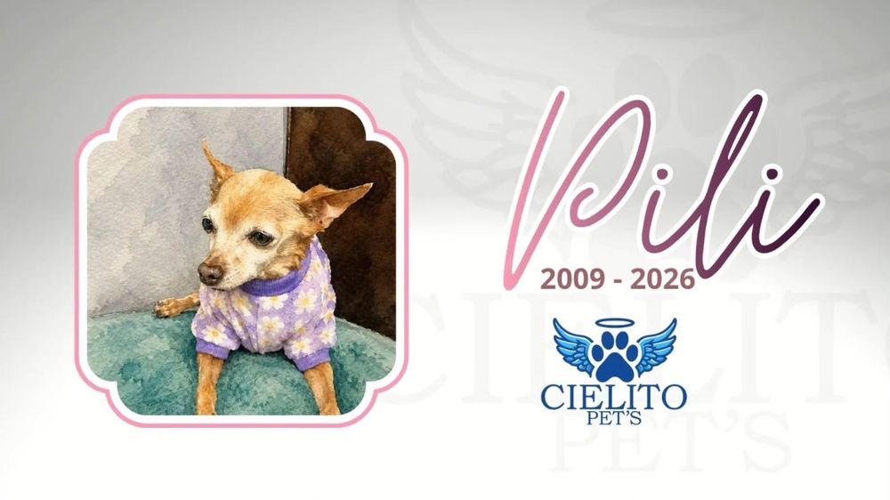 Obituario Pili
