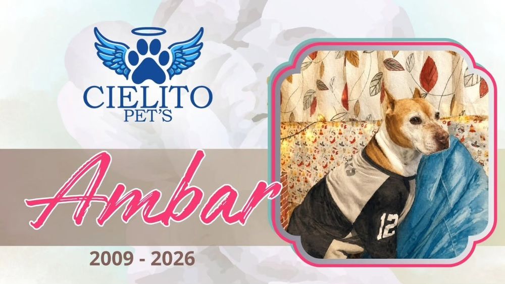 Obituario Ambar