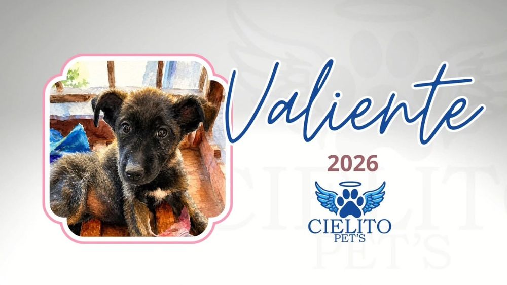 Obituario Valiente