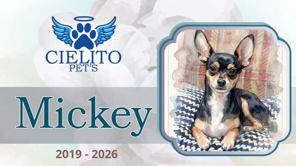 Obituario Mickey