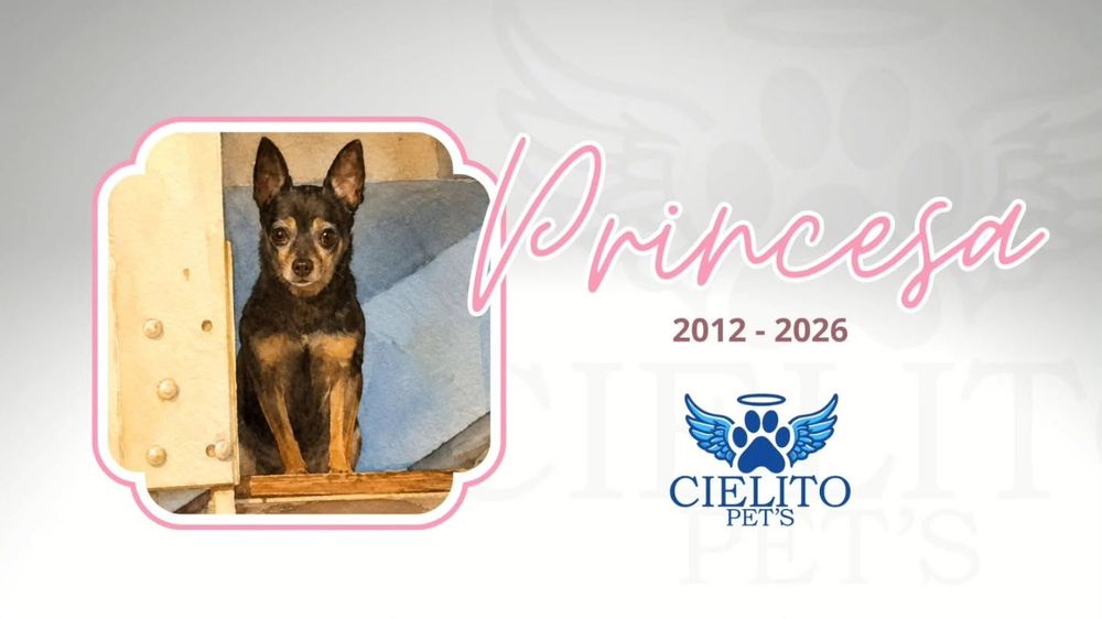Obituario Princesa