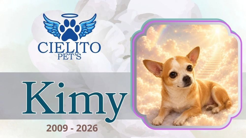 Obituario Kimy