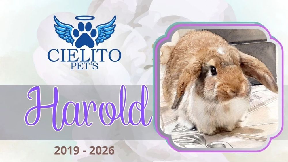 Obituario Harold