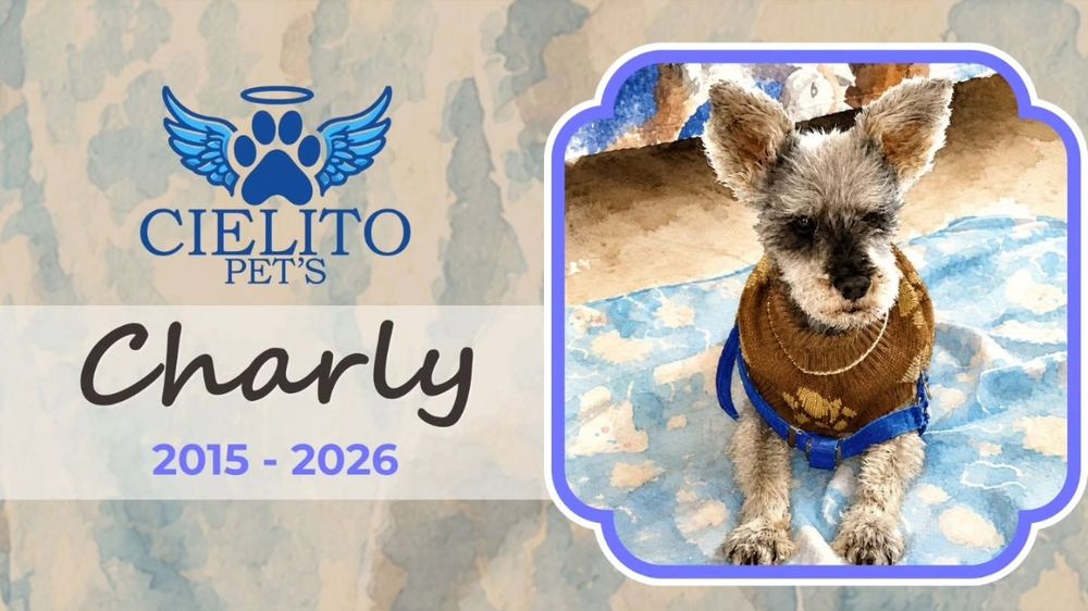 Obituario Charly