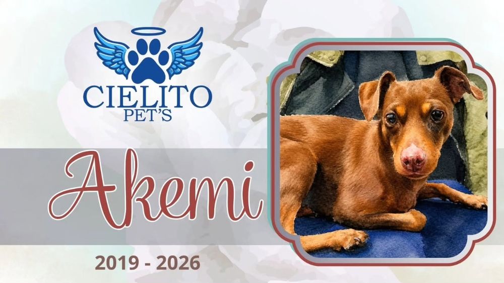 Obituario Akemi