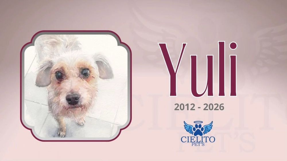 Obituario Yuli