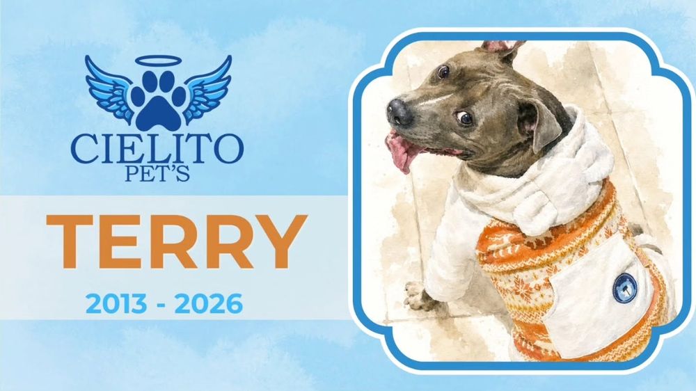 Obituario Terry