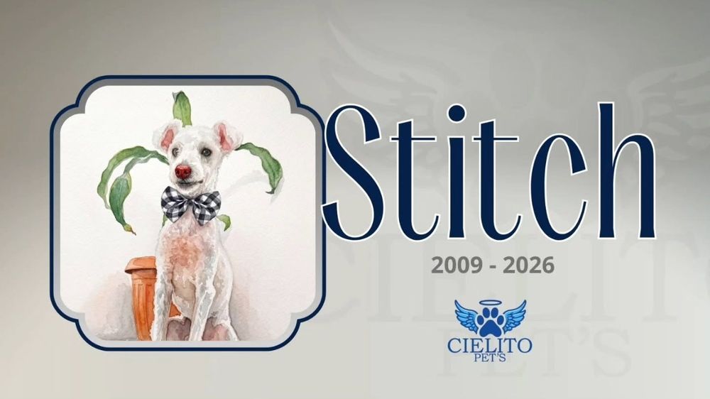 Obituario Stitch