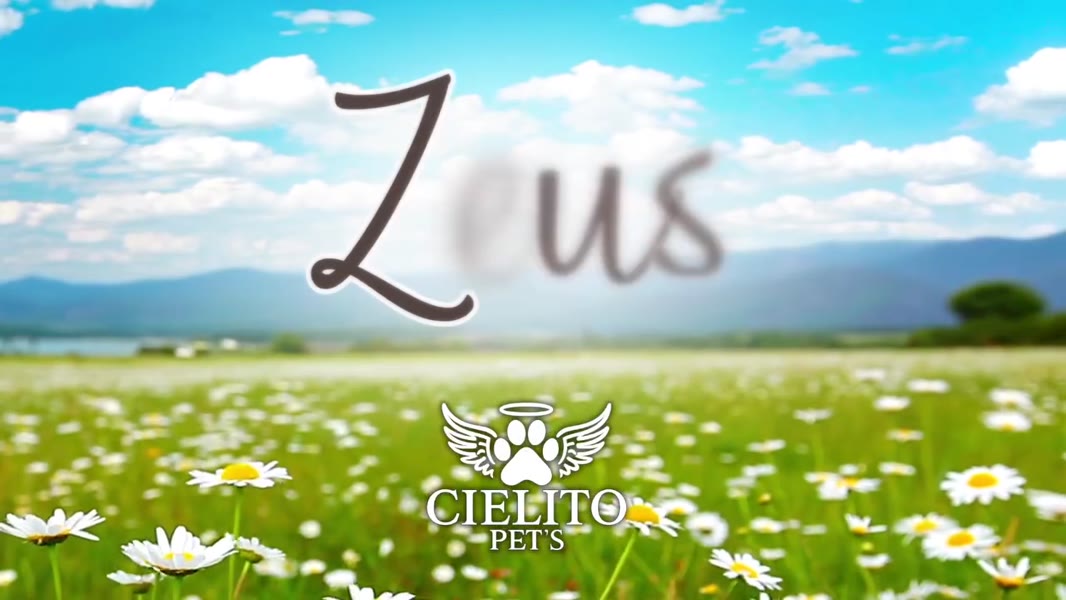 Homenaje en video